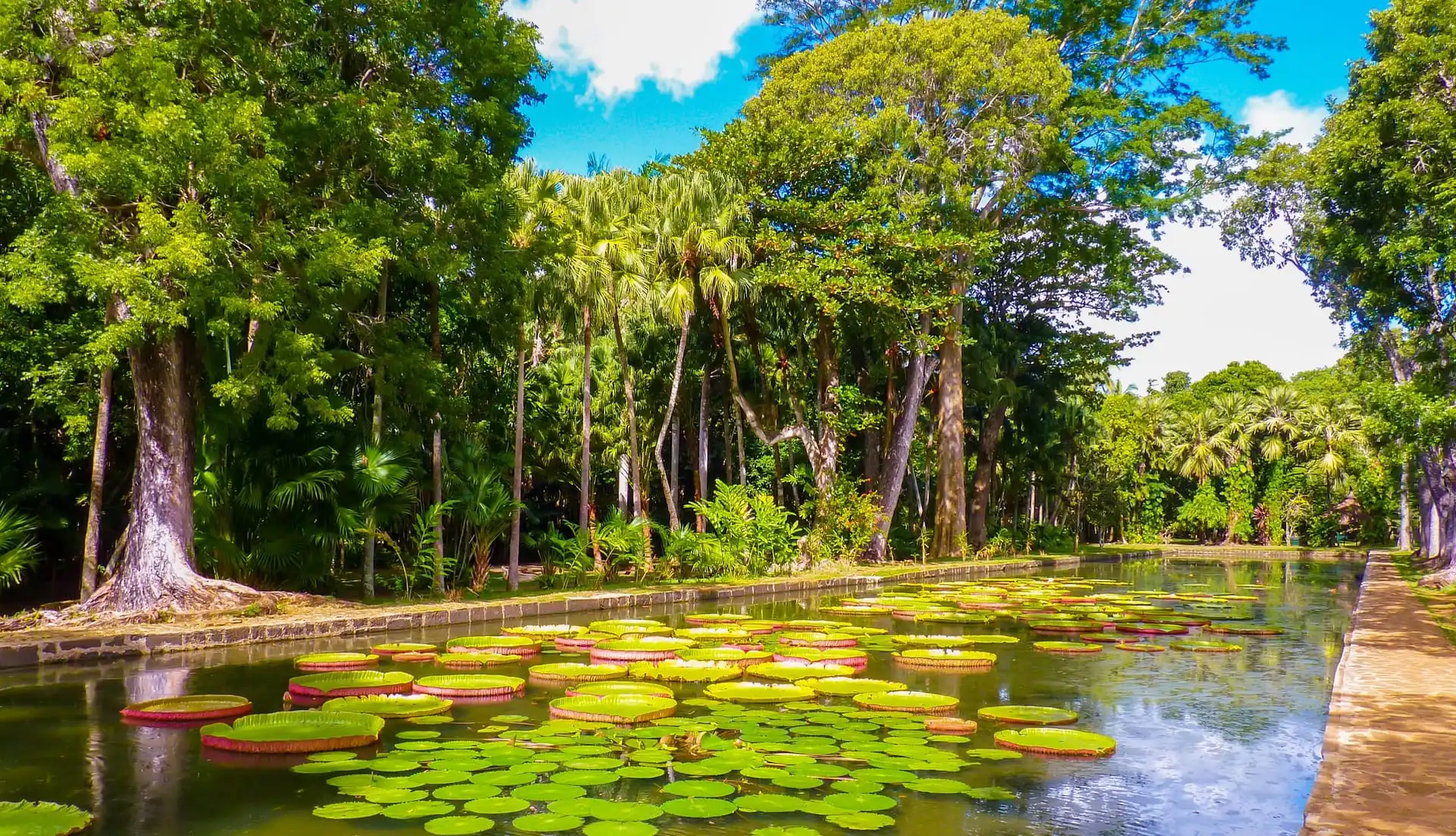 Things to do in Mauritius