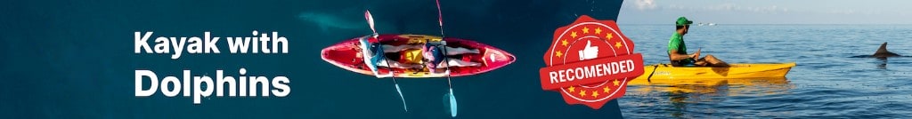 Kayak with Dolphins in Mauritius