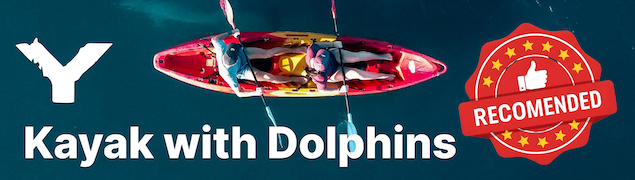 Kayak with Dolphins in Mauritius