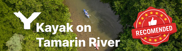 Kayak on Tamarin River