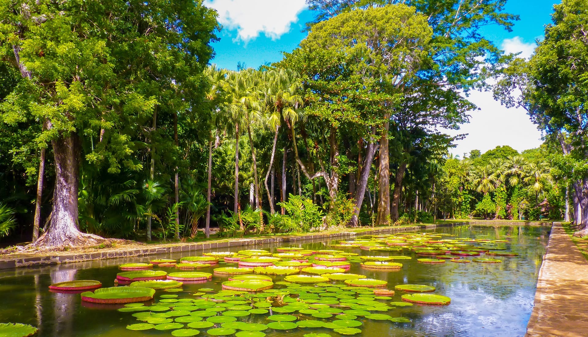 Pamplemousses Botanical Garden