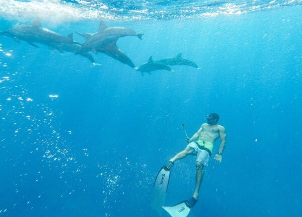 Mauritius explored Dolphin Swim