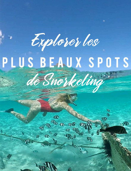 Les plus beaux spots de snorkeling a l'ile Maurice