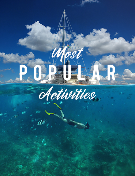 Most Popular Activities in Mauritius Swim with dolphins whale watching Catamaran cruises to ile aux cerfs Le Morne Hiking Zip line Helicopter tour